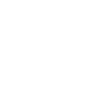 Icon Laden